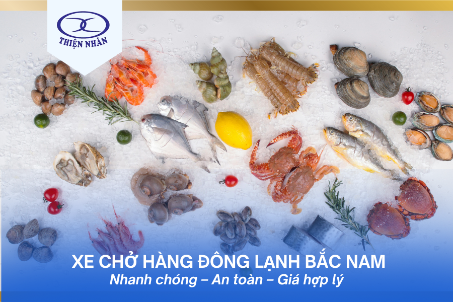 van-chuyên-hang-dong-lanh-bac-nam-van-tai-thien-nhan-4